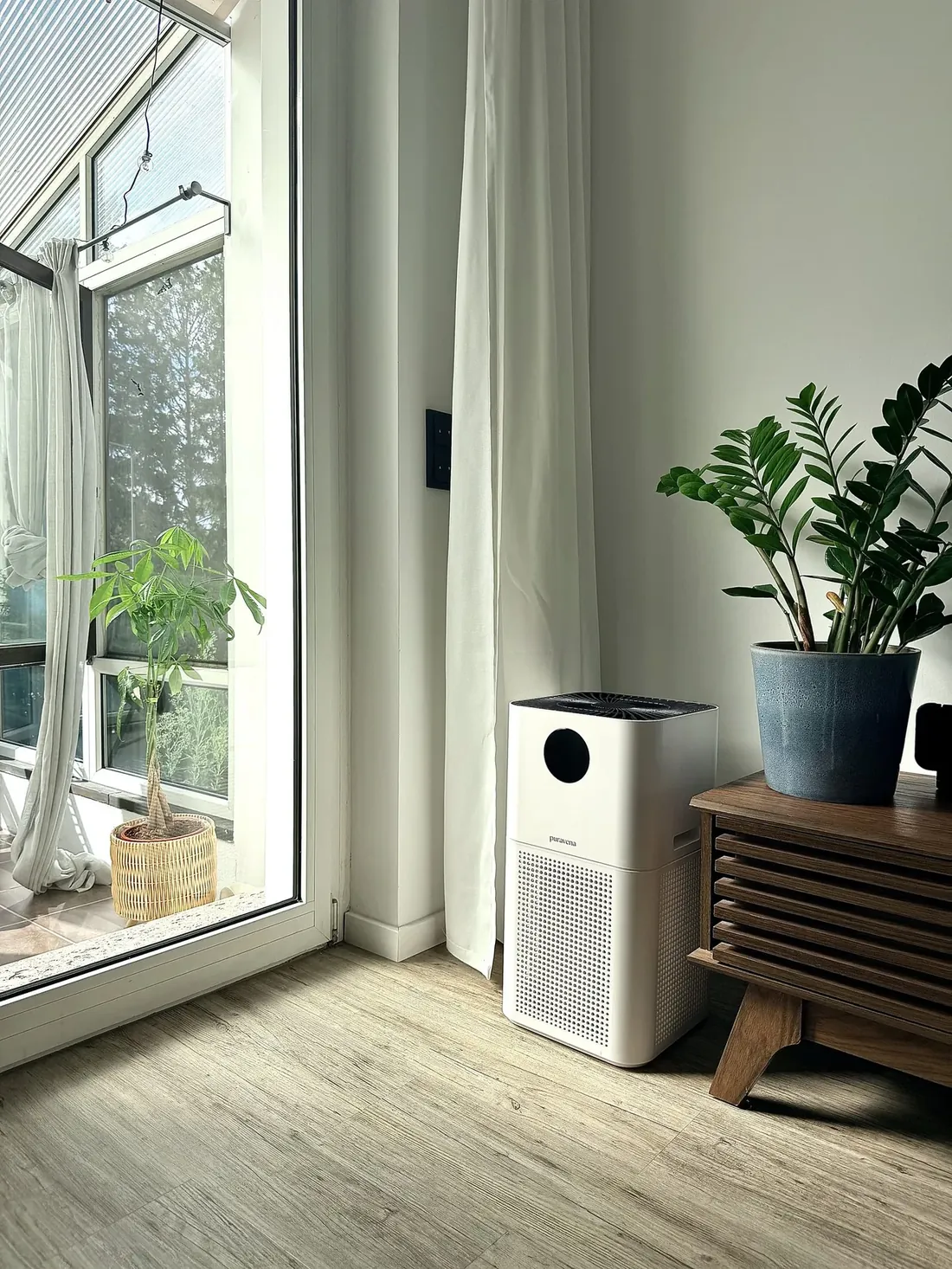 Helles Wohnzimmer mit großem Fenster und Pflanze, daneben ein Luftreiniger