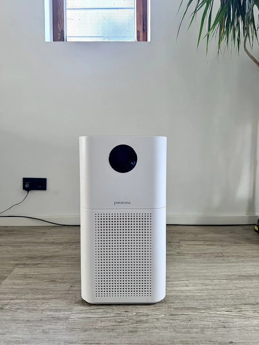 Avelia 440 frei vor einer hellen Wand auf Holzboden